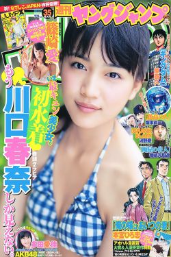 电视剧人民警察